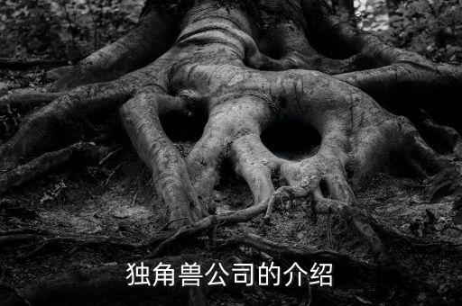 無人駕駛獨角獸公司，獨角獸公司的介紹...